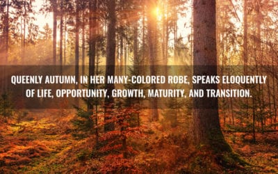 The Beauty of Autumn Days