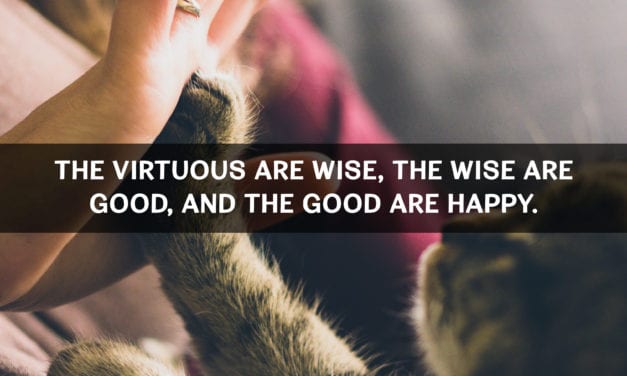 The Golden Rule of Happiness