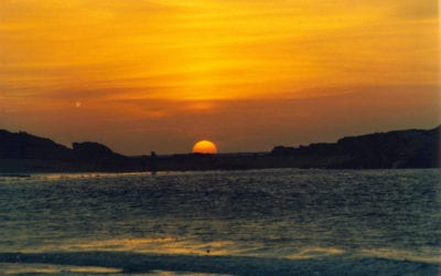 Cultivate sunshine of the mind