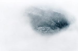 Clearing opening in fog, revealing a forest