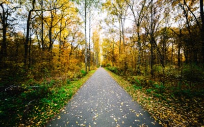 There is Only One Straight Road to Success