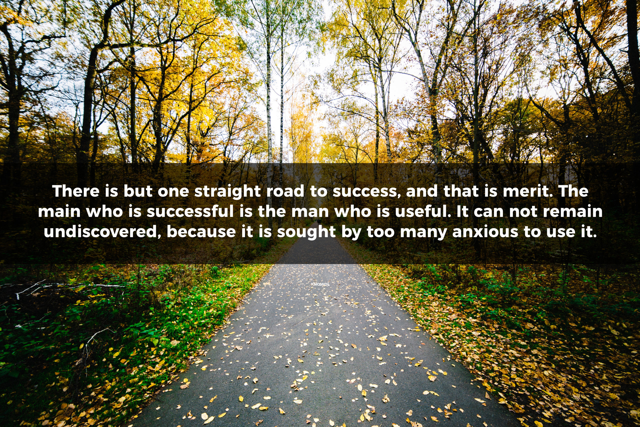 roadtosuccessquote KNOWOL