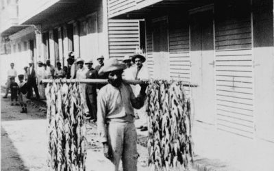 Fisherman selling his catch in Aguadilla, Puerto Rico, 1900
