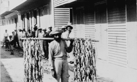 Fisherman selling his catch in Aguadilla, Puerto Rico, 1900