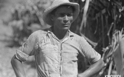 Farm laborer working in a sugar field near Guanica, Puerto Rico