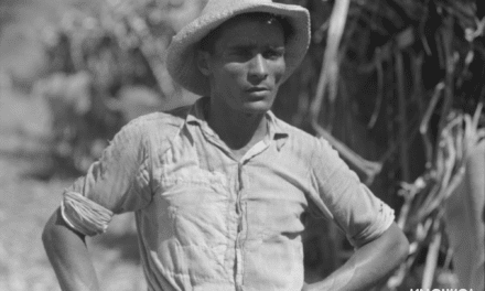 Farm laborer working in a sugar field near Guanica, Puerto Rico