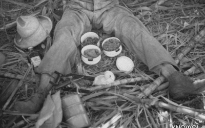 A sugar workers lunch consisted of rice, beans and papaya