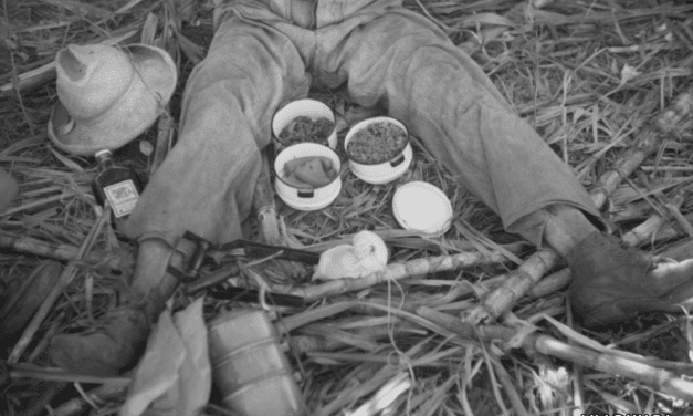 A sugar workers lunch consisted of rice, beans and papaya