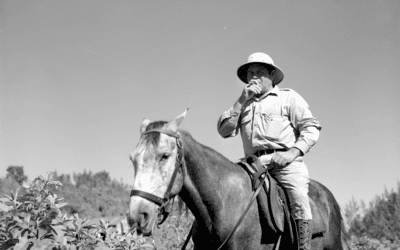 A “majordomo” (foreman) on a sugar plantation. Manati, P.R.