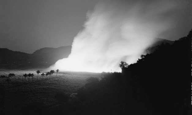 Burning a sugar cane field in Guanica, Puerto Rico. 1942