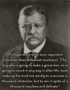 Theodore Roosevelt Quote