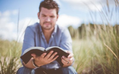 Plan a Schedule of Great Reading