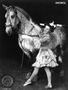 Female bareback rider in costume with horse. Photo taken in Brockton, Massachusetts