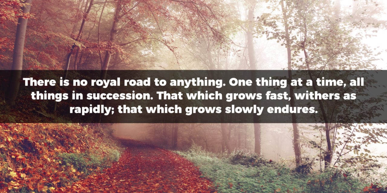 There is no royal road to anything. One thing at a time…