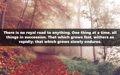 There is no royal road to anything. One thing at a time…