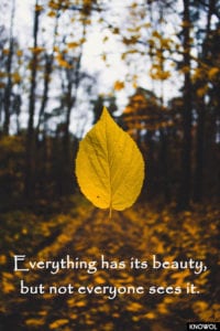 https://unsplash.com/@sandishelvigs
