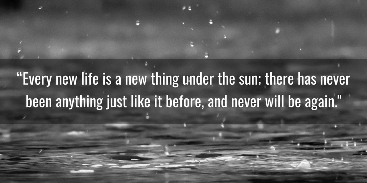 Every new life is a new thing under the sun…