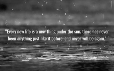 Every new life is a new thing under the sun…