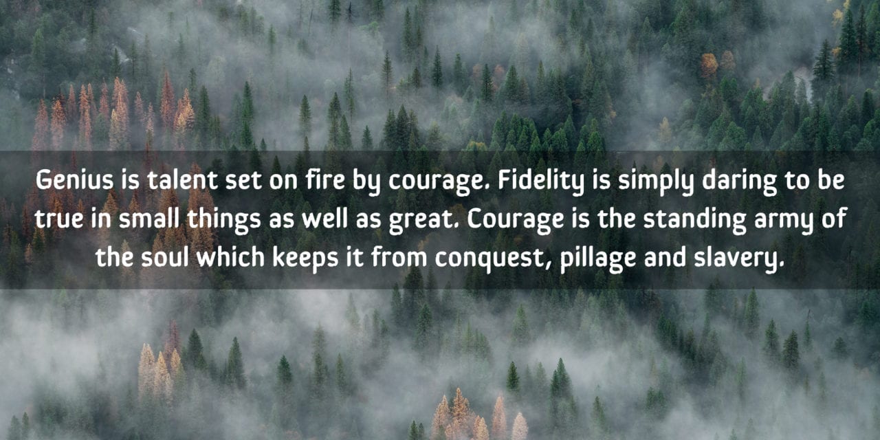 Genius is talent set on fire by courage…