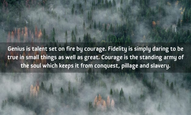 Genius is talent set on fire by courage…