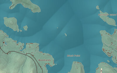 Beautifully Detailed Map of Alton, New Hampshire