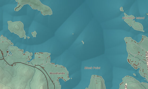 Beautifully Detailed Map of Alton, New Hampshire