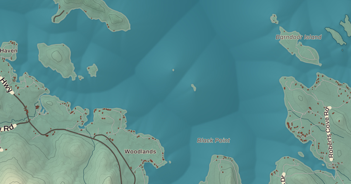Beautifully Detailed Map of Alton, New Hampshire