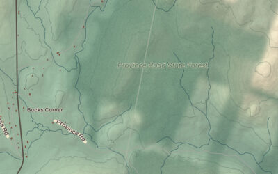 Beautifully Detailed Map of Dorchester, New Hampshire