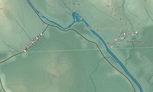 Beautifully Detailed Map of Dummer, New Hampshire