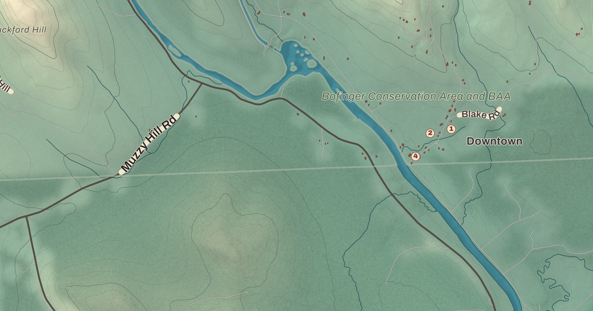 Beautifully Detailed Map of Dummer, New Hampshire