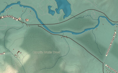 Beautifully Detailed Map of Effingham, New Hampshire