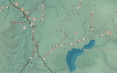 Beautifully Detailed Map of Goshen, New Hampshire