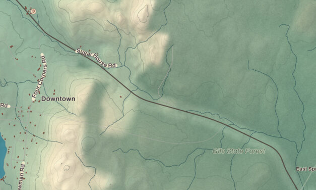 Beautifully Detailed Map of Springfield, New Hampshire