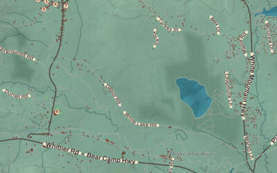 Beautifully Detailed Map of Tamworth, New Hampshire