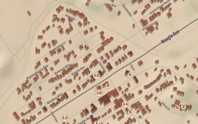 Beautifully Detailed Map of Patagonia, Arizona