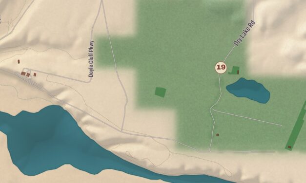 Beautifully Detailed Map of Safford, Arizona
