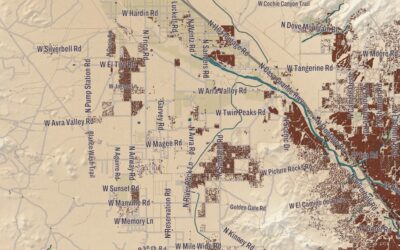 Beautifully Detailed Map of Tohono O’odham Nation, Arizona