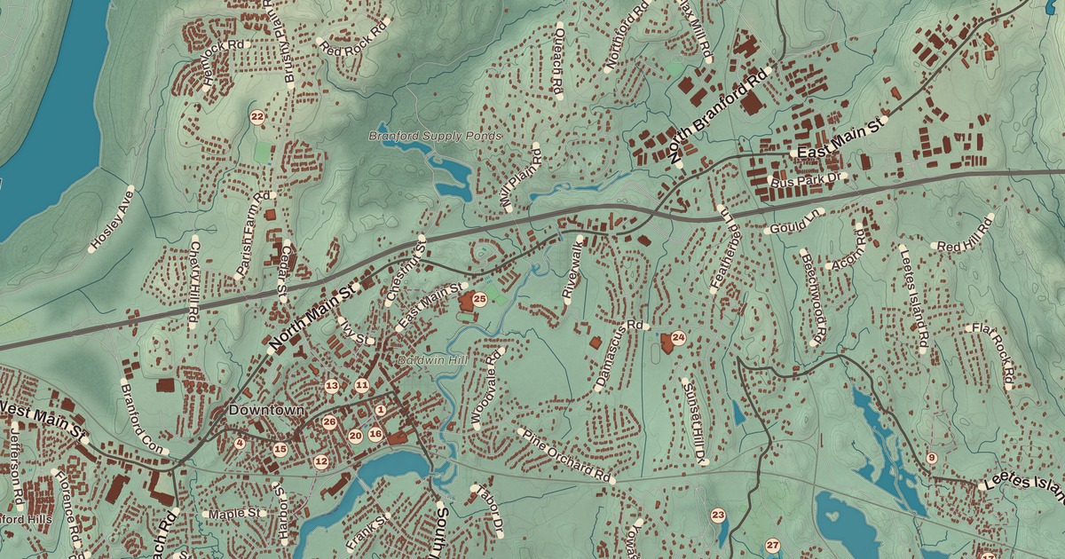 Beautifully Detailed Map of Branford, Connecticut