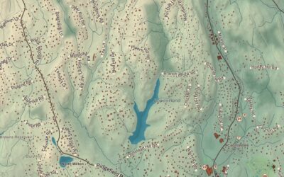 Beautifully Detailed Map of Wilton, Connecticut