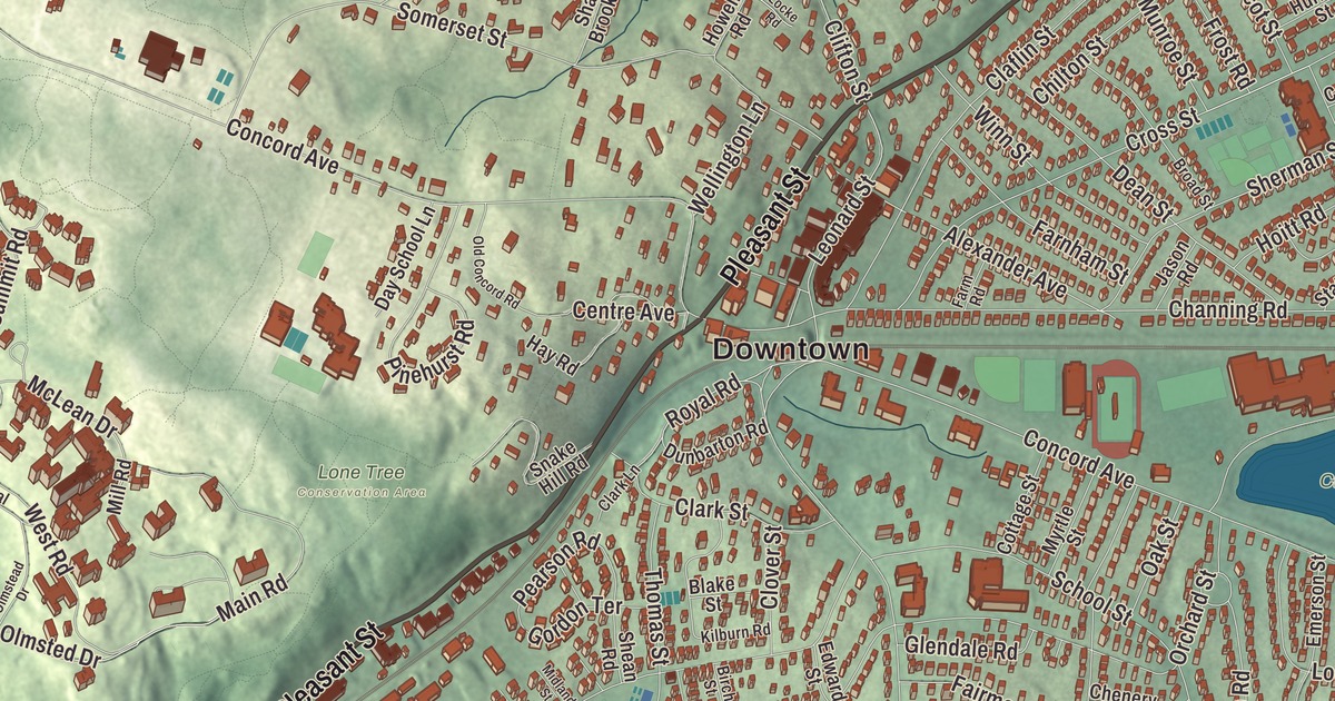 Beautifully Detailed Map of Belmont, Massachusetts