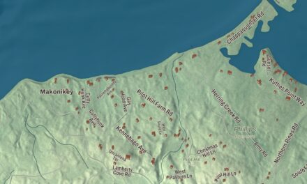 Beautifully Detailed Map of Tisbury, Massachusetts