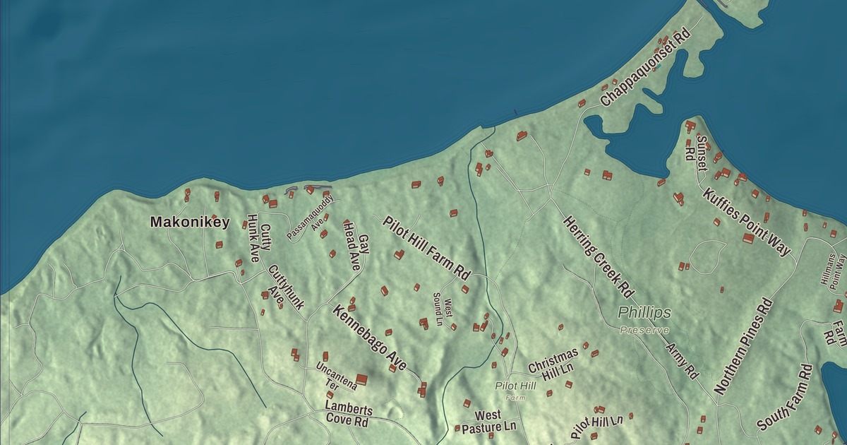 Beautifully Detailed Map of Tisbury, Massachusetts