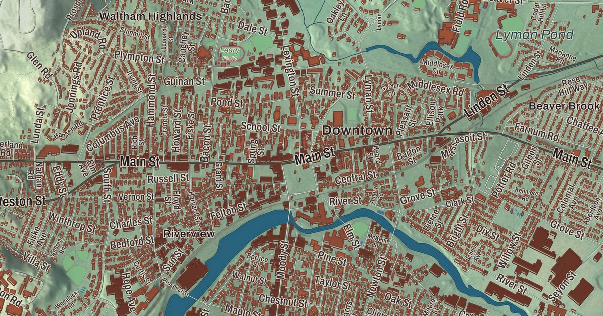 Beautifully Detailed Map of Waltham, Massachusetts