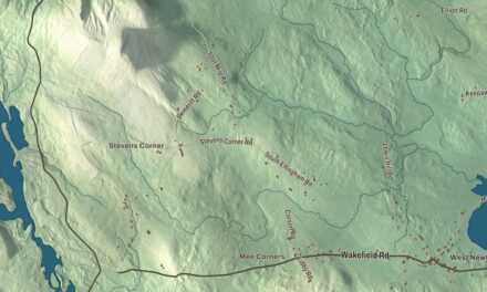 Map of Newfield, Maine