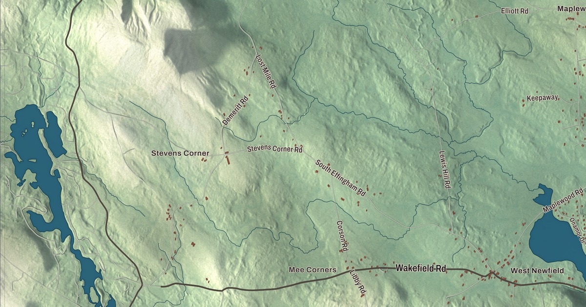 Map of Newfield, Maine