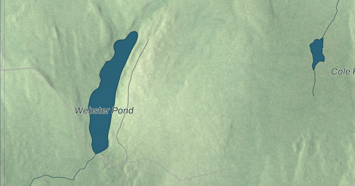 Map of Webster, Maine