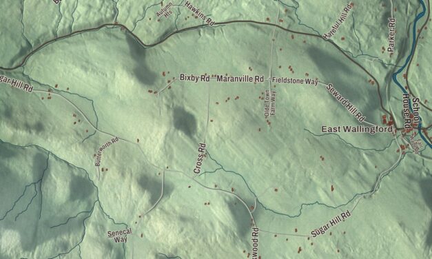 Map of Wallingford, Vermont