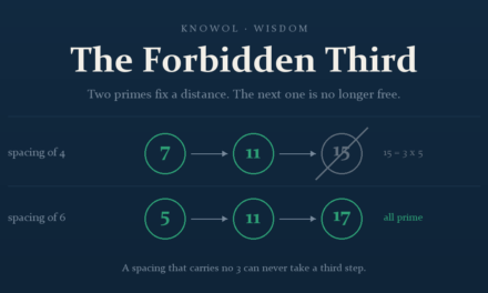 The Forbidden Third: What Prime Numbers Know About Money and Purpose