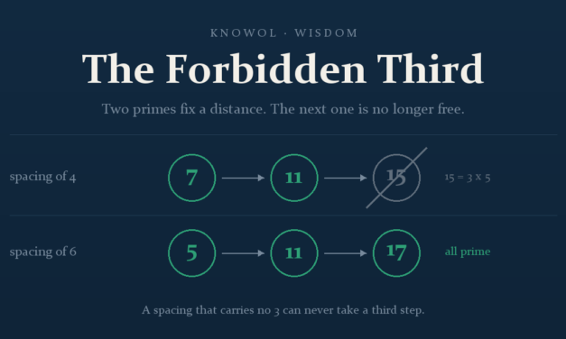 The Forbidden Third: What Prime Numbers Know About Money and Purpose