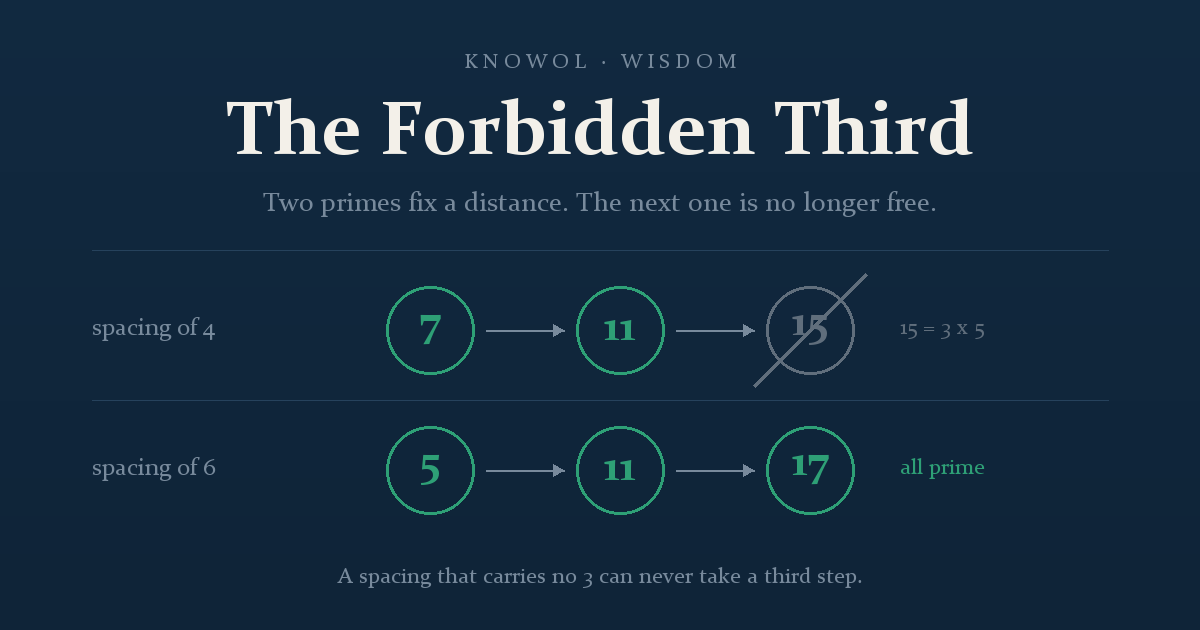 The Forbidden Third: What Prime Numbers Know About Money and Purpose